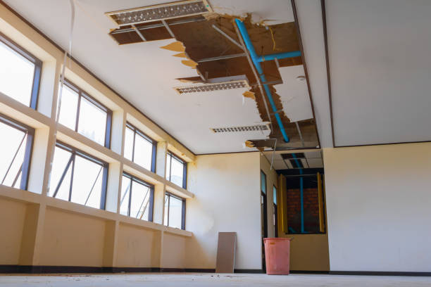 Best Water damage contractors near me  in Weddington, NC