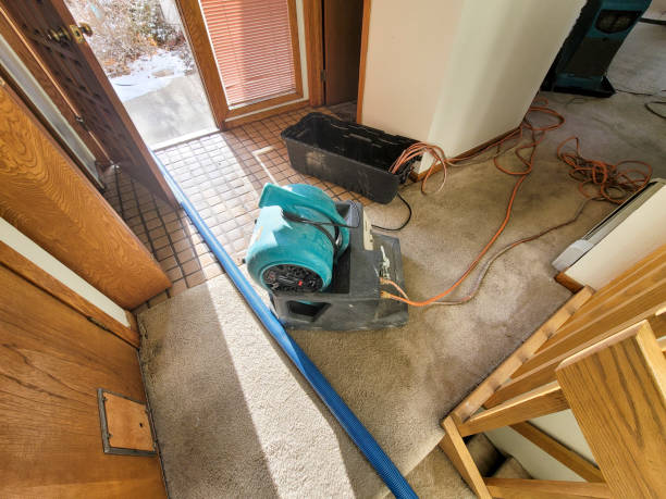 Best Flood damage cleanup  in Weddington, NC