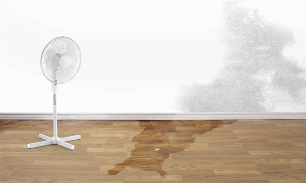 Best Sewage cleanup and water damage restoration  in Weddington, NC