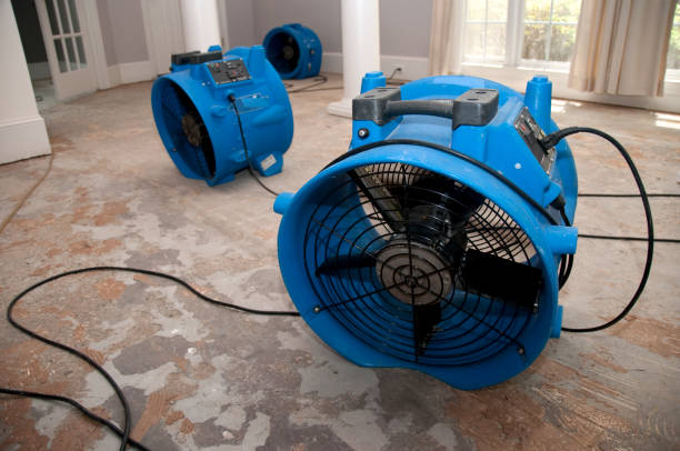 Best Basement water damage restoration  in Weddington, NC