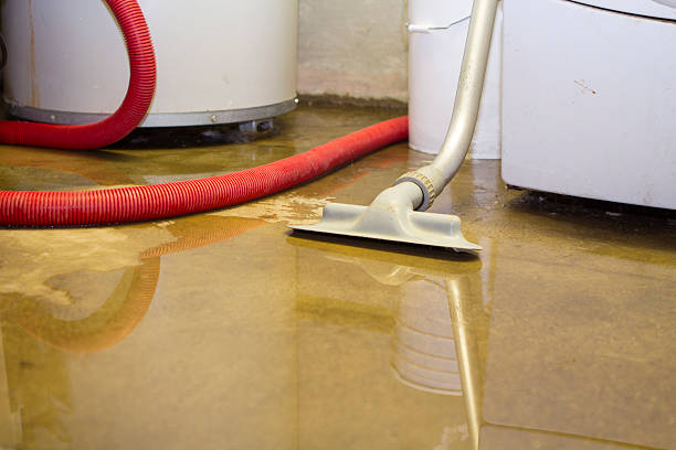 Best Water damage restoration near me  in Weddington, NC